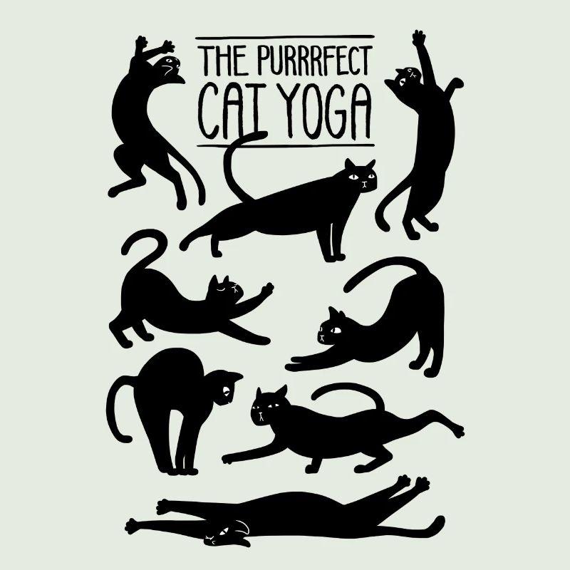 Das perfekte Katzen Yoga