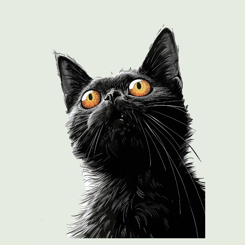 Schwarze Katze Peter