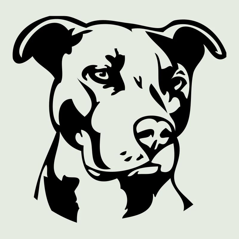 Pitbull einfarbig - Hund Kampfhund
