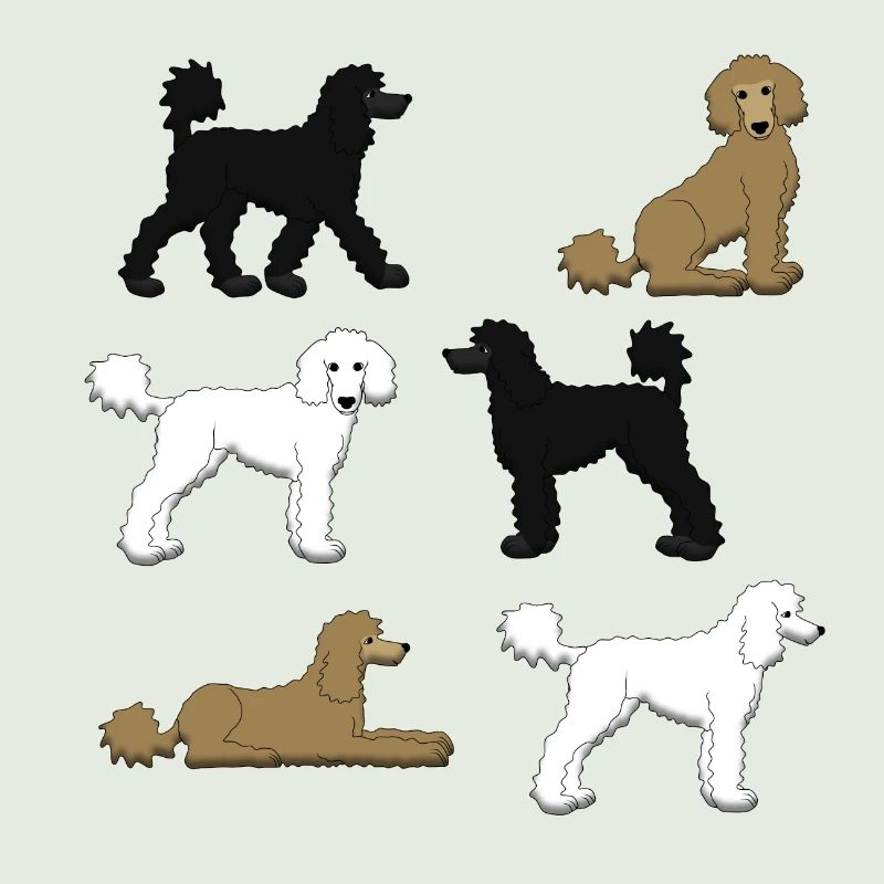 Poodle selection
