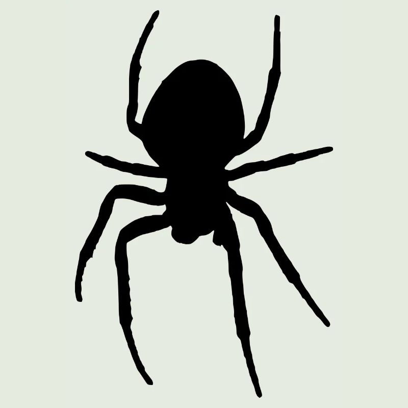 spid 2