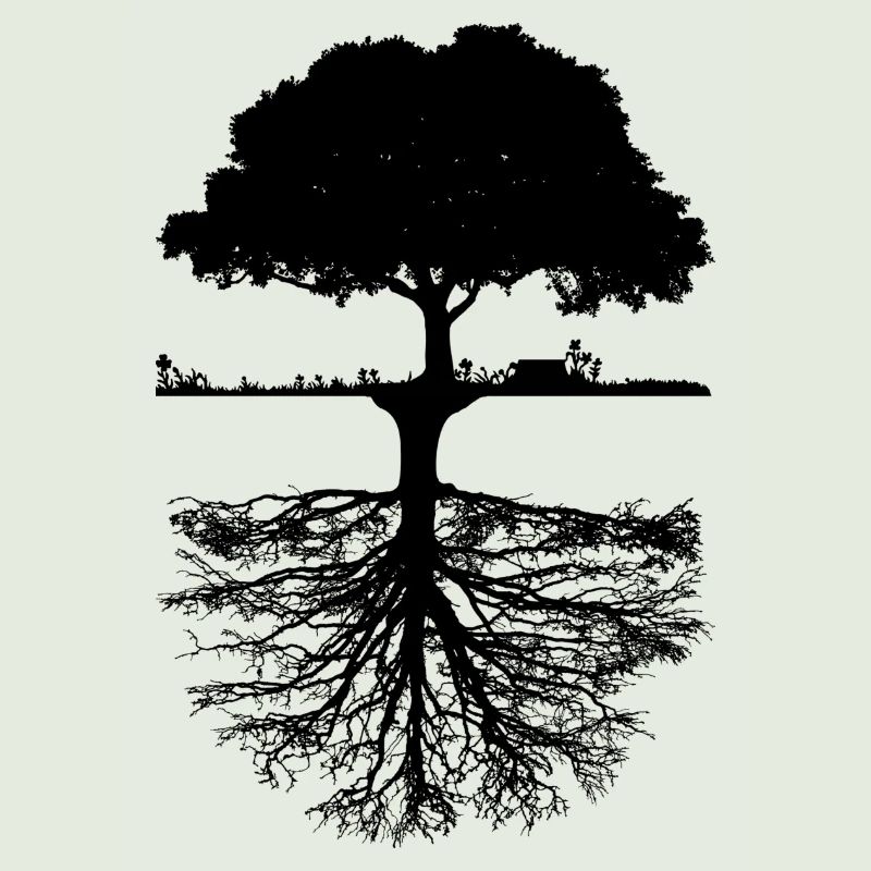 Baum
