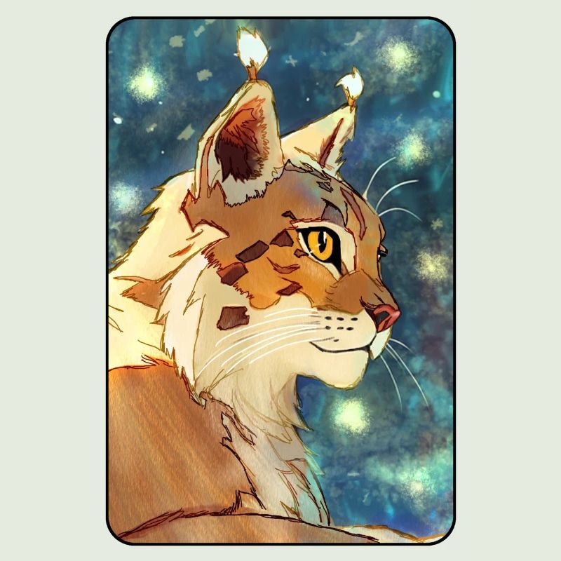 Luchs im Profil
