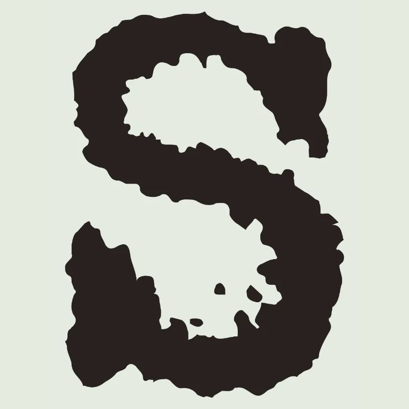 S