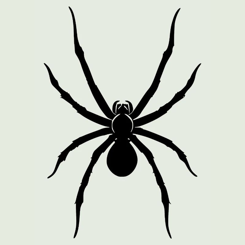 Spinne