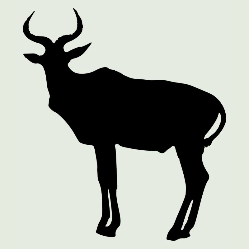antilope