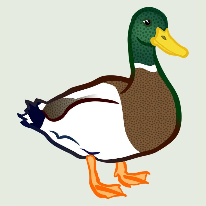 Ente