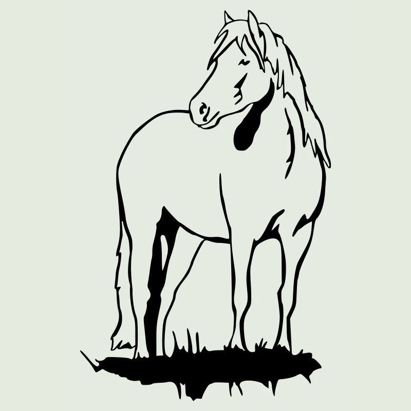 Haflinger Pony