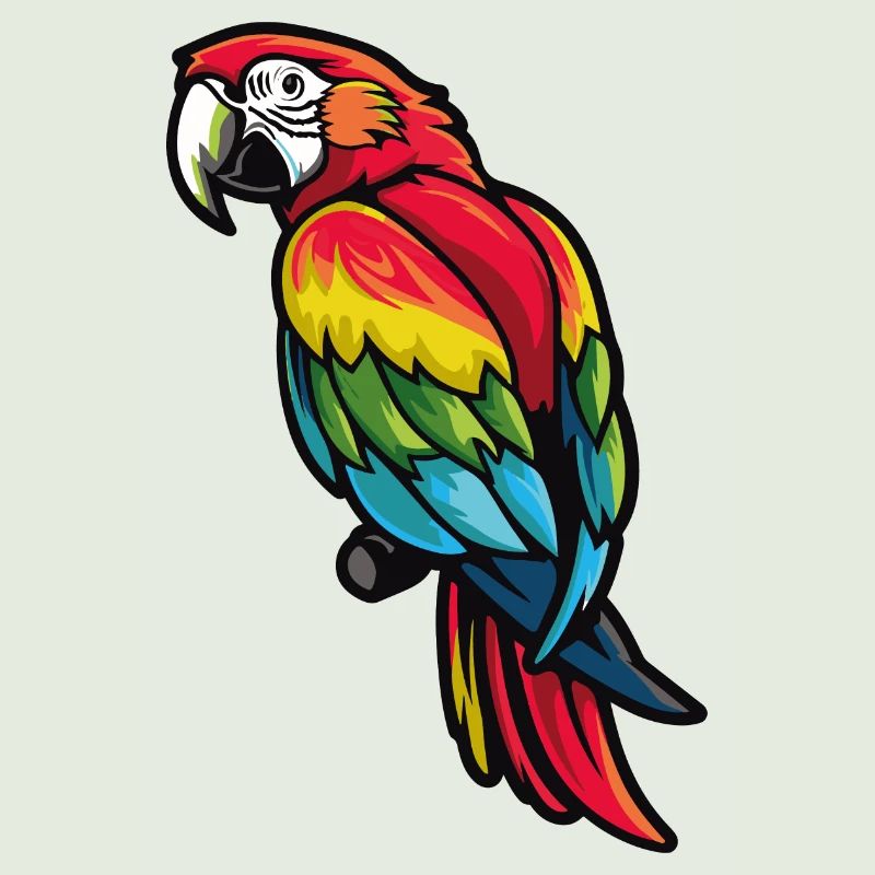 Macaw parrot