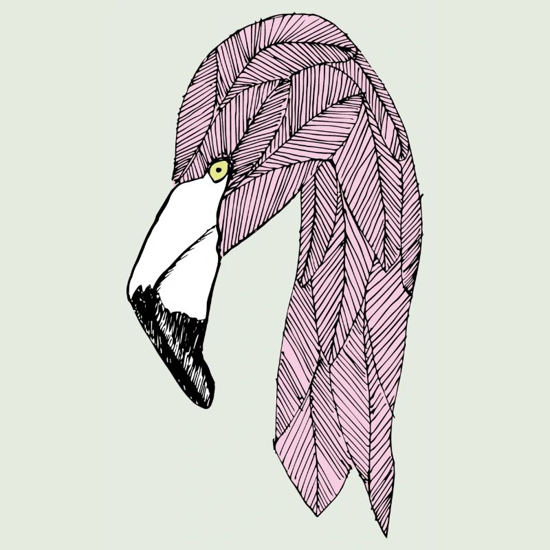 flamingo