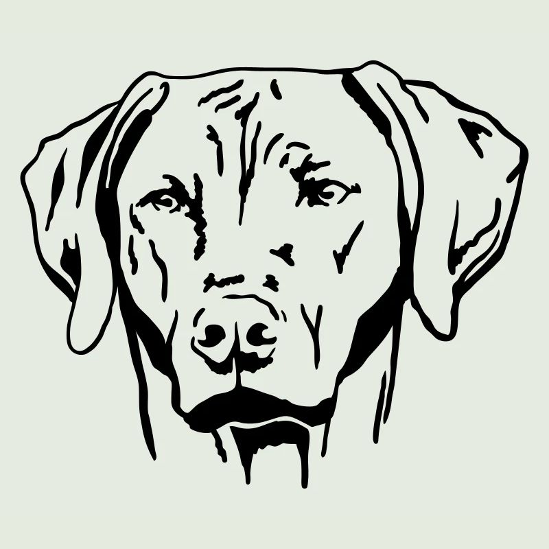 Rhodesian Ridgeback
