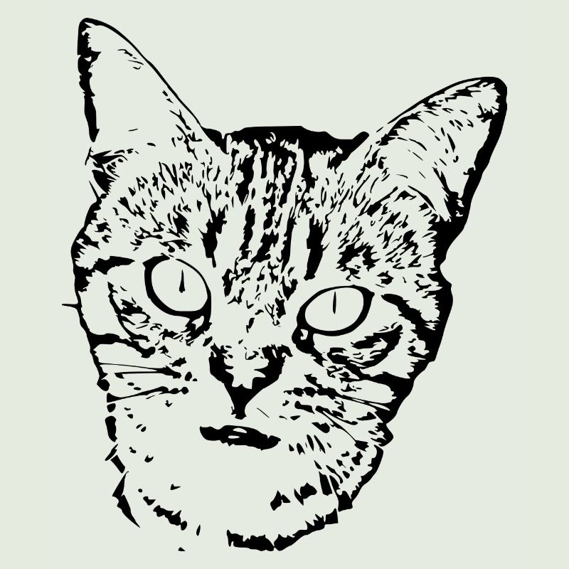 chat noir chat chaton doux cadeau de Noël