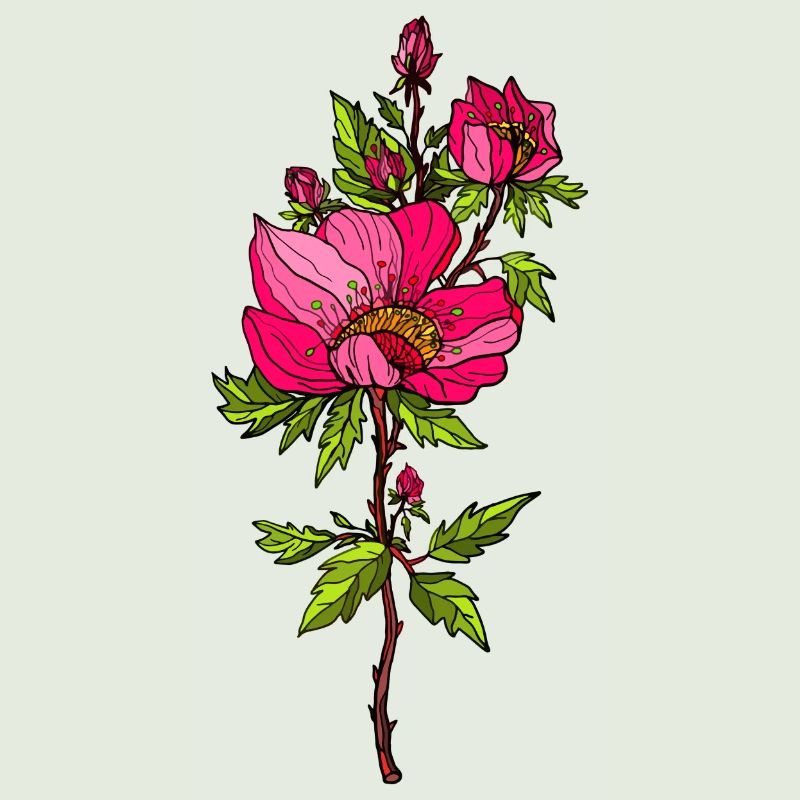 Rote Rosen