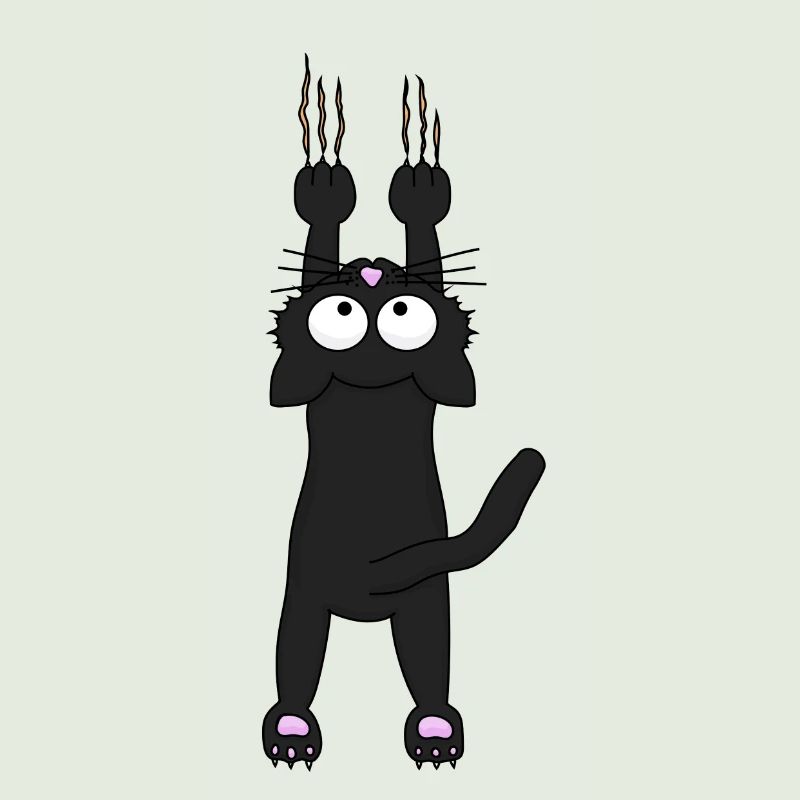 Chat noir