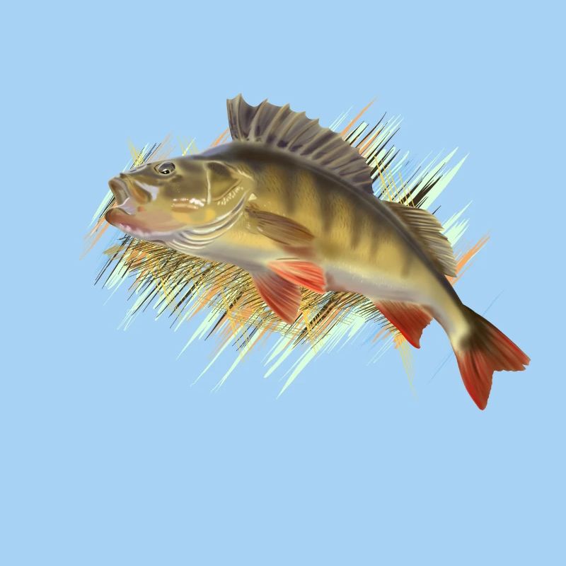 Perch