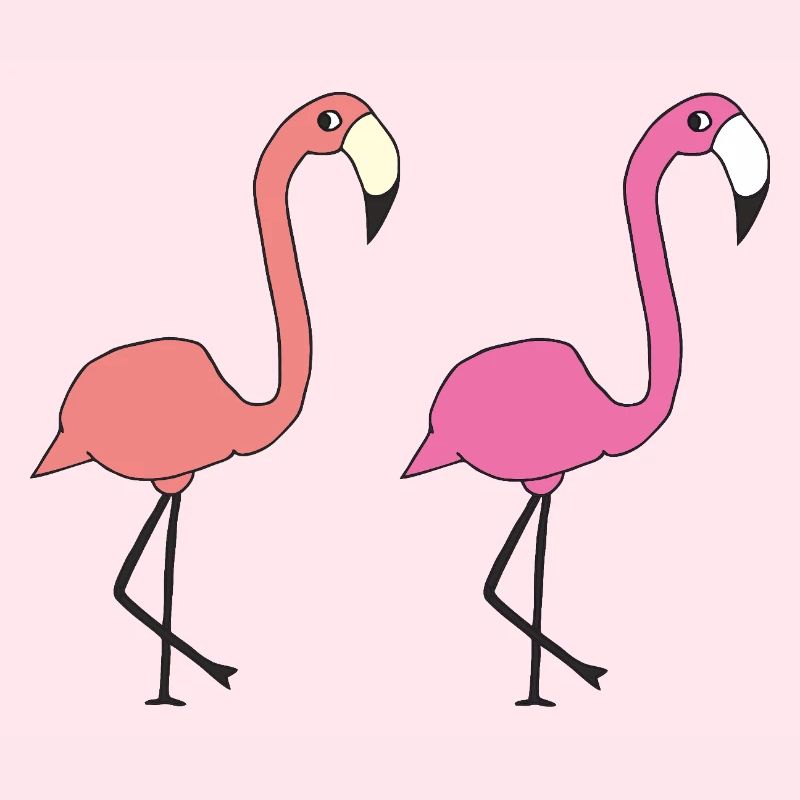 flamingo freunde