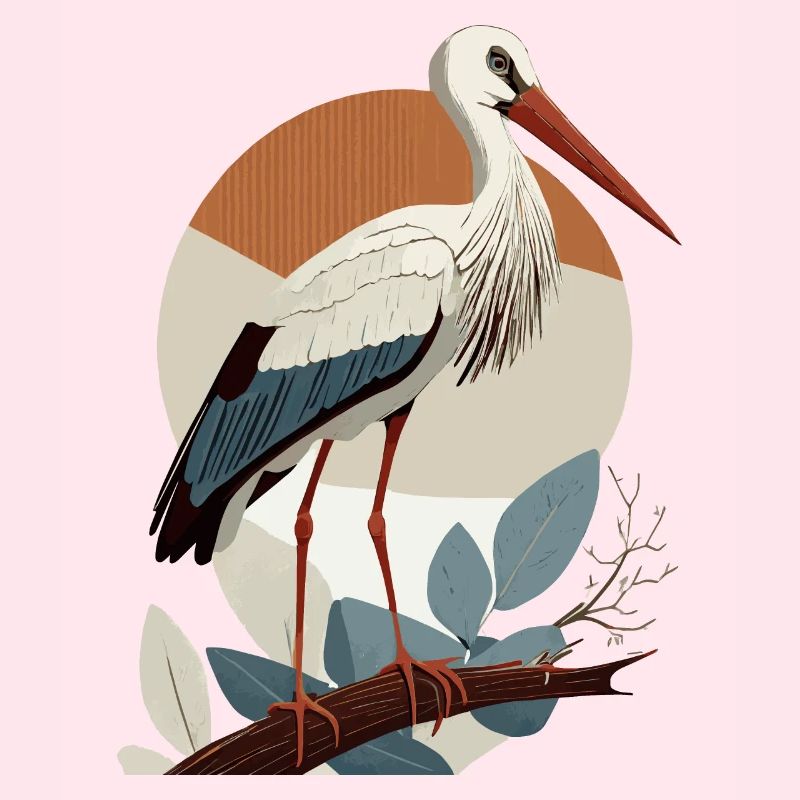 Cigogne, Oiseau, Naissance, Grossesse, Enceinte