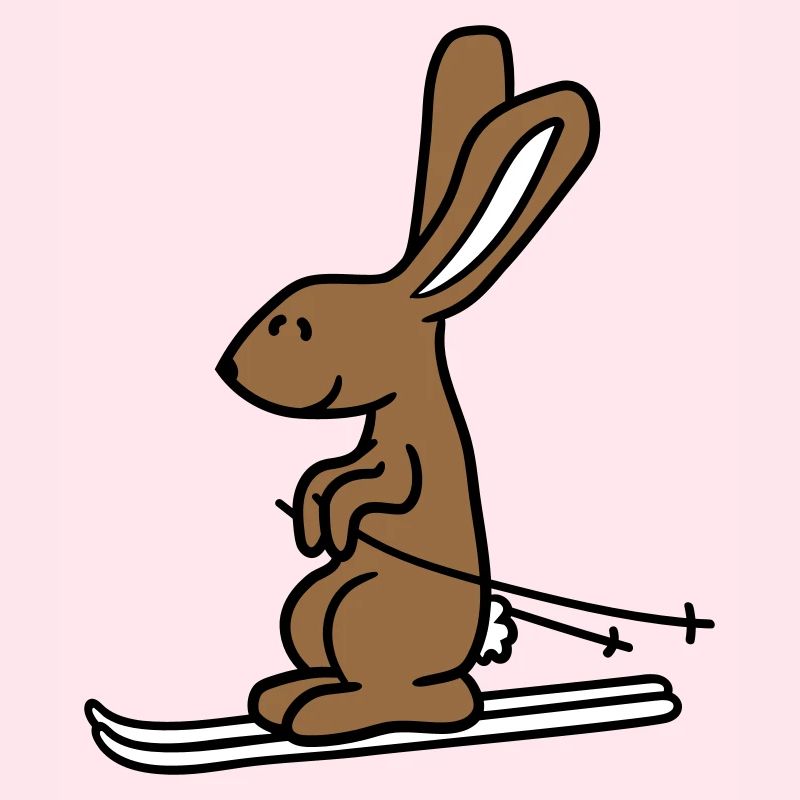 Rabbit Ski Bunny Skiing Winter Skiing Snow