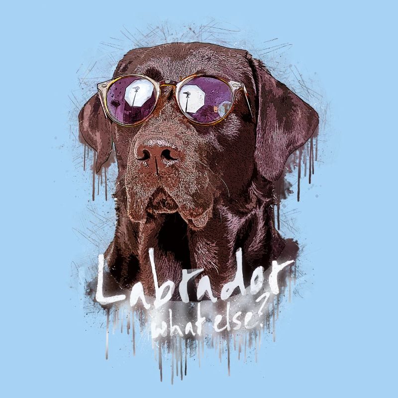 Labrador mit Sonnenbrille