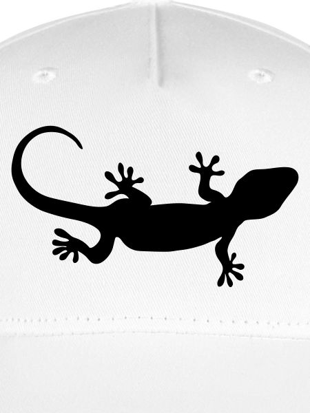 Gecko