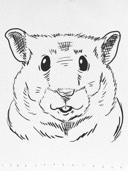 Hamstergesicht niedliches Nagertier-Sketch