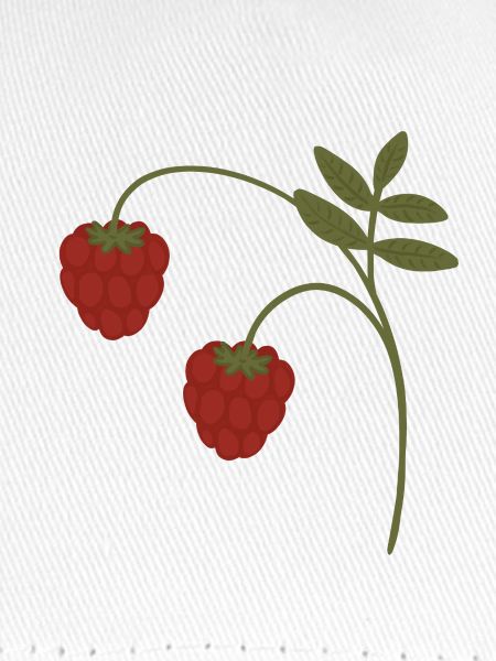 Himbeeren