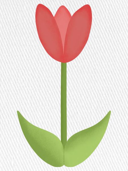 Rote Tulpe