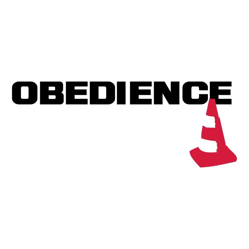 Obedience mit Pylone