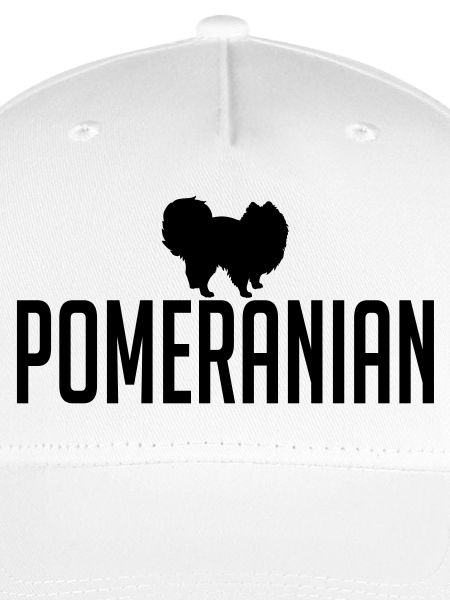 POMERANIAN Hunderasse