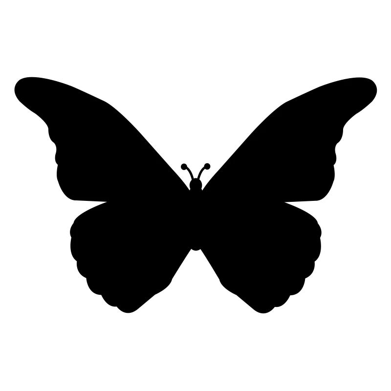schmetterling