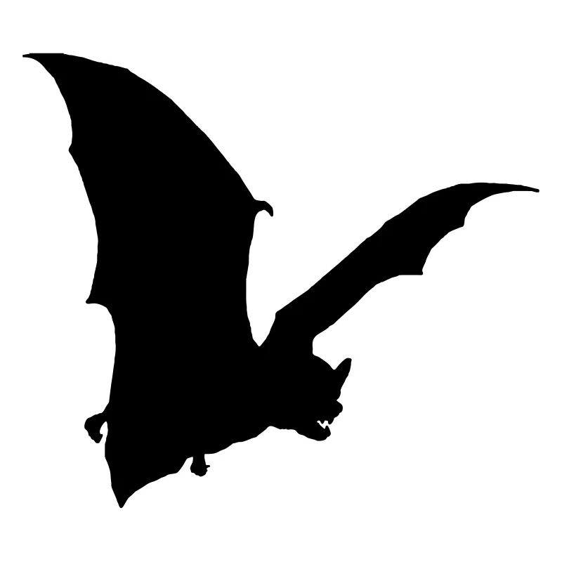 bat