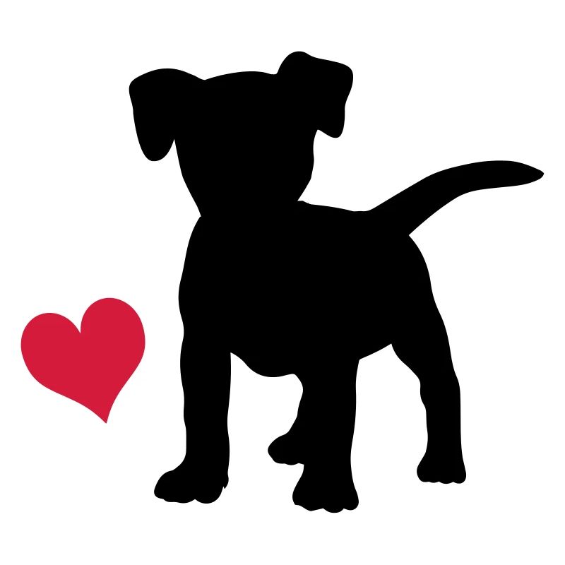 Jack Russell Terrier