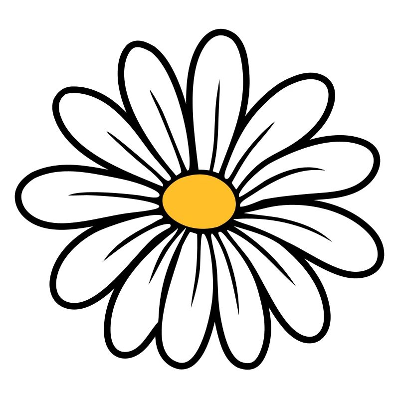 Gänseblümchen