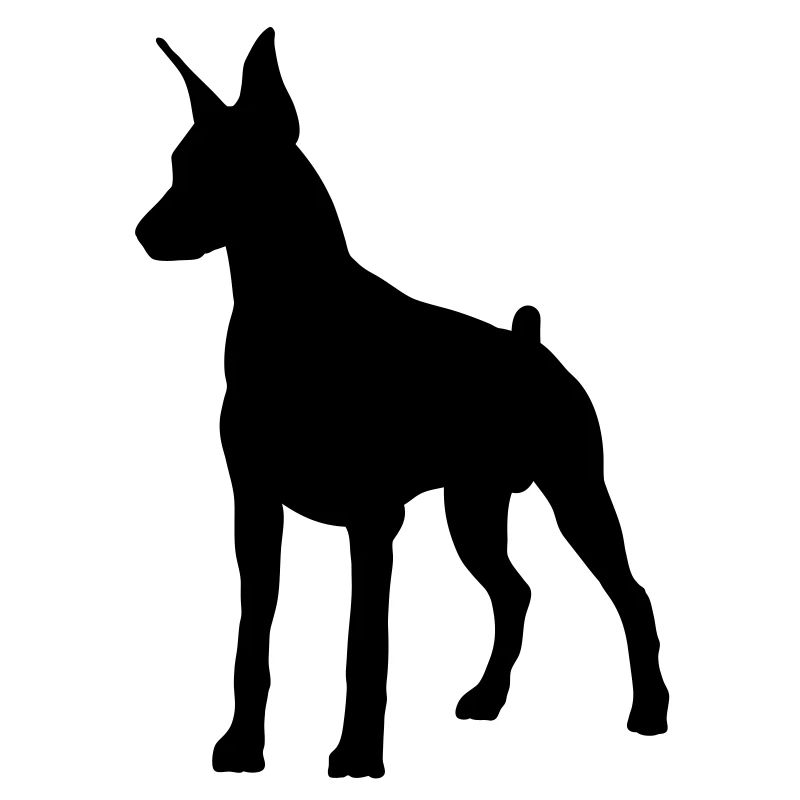 Dobermann Pincher