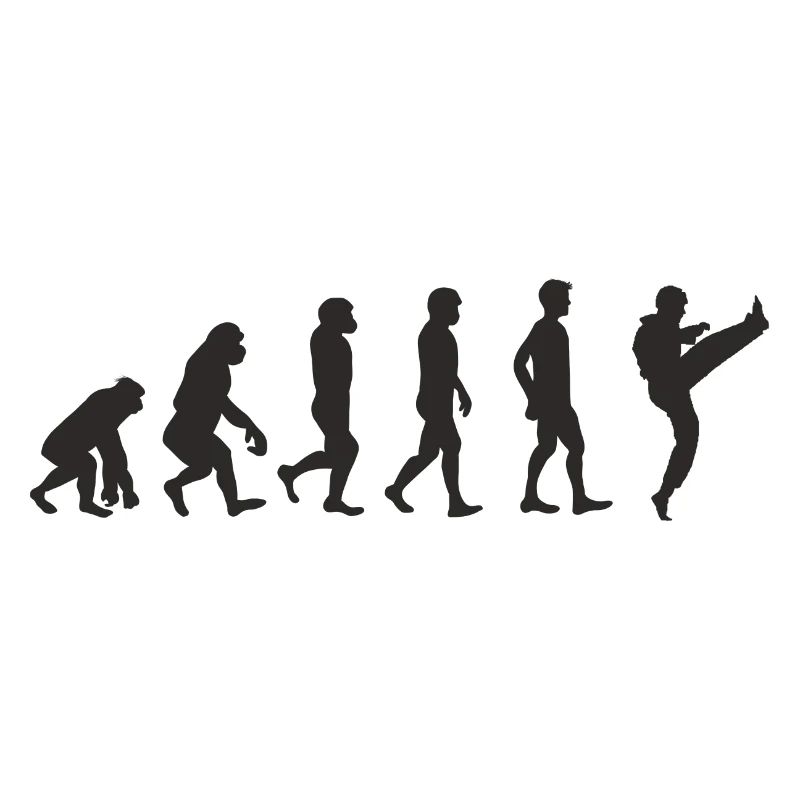 Evolution Karate