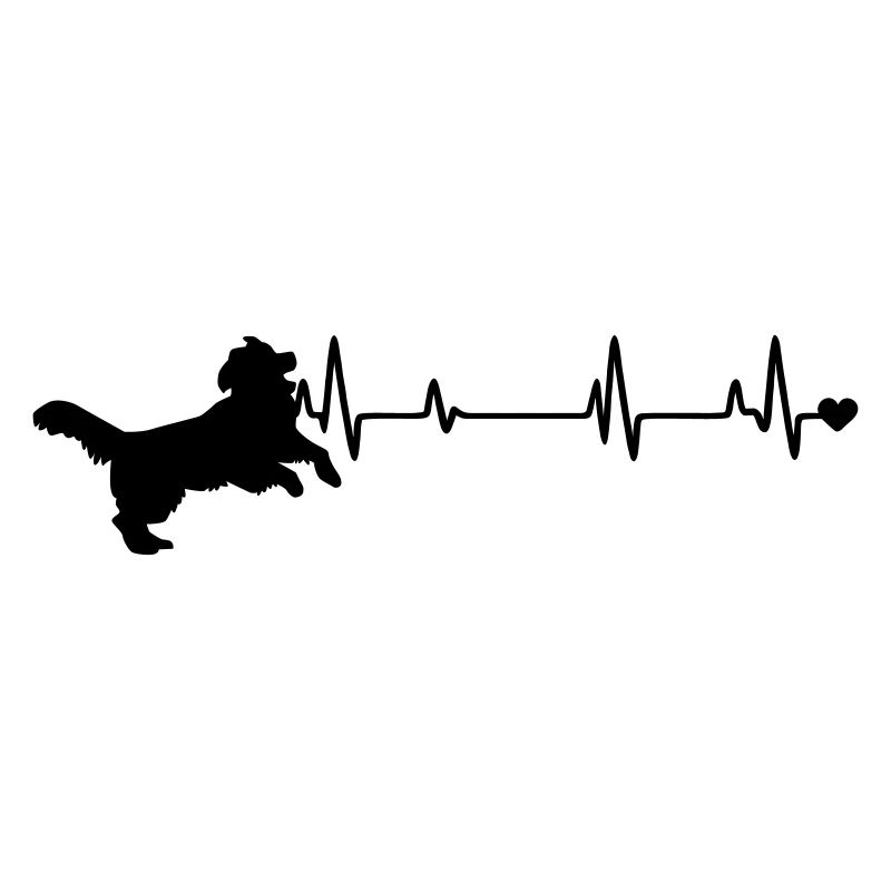 Hund