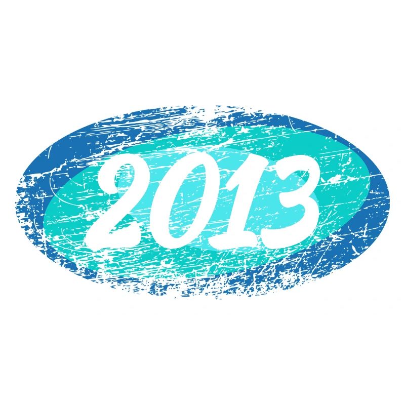 2013 2013