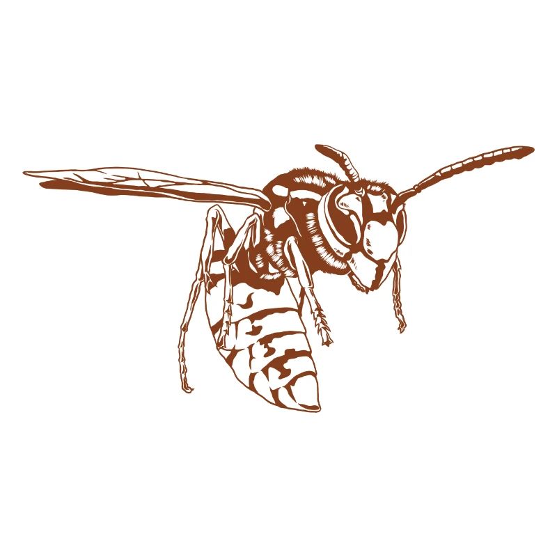 Cool Wasp Insect Sketch Graphic Wasp Animal Lover