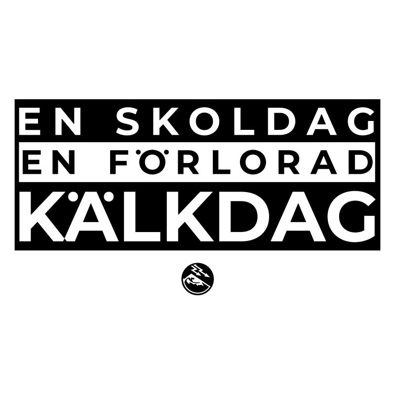 RG SKOLDAG2