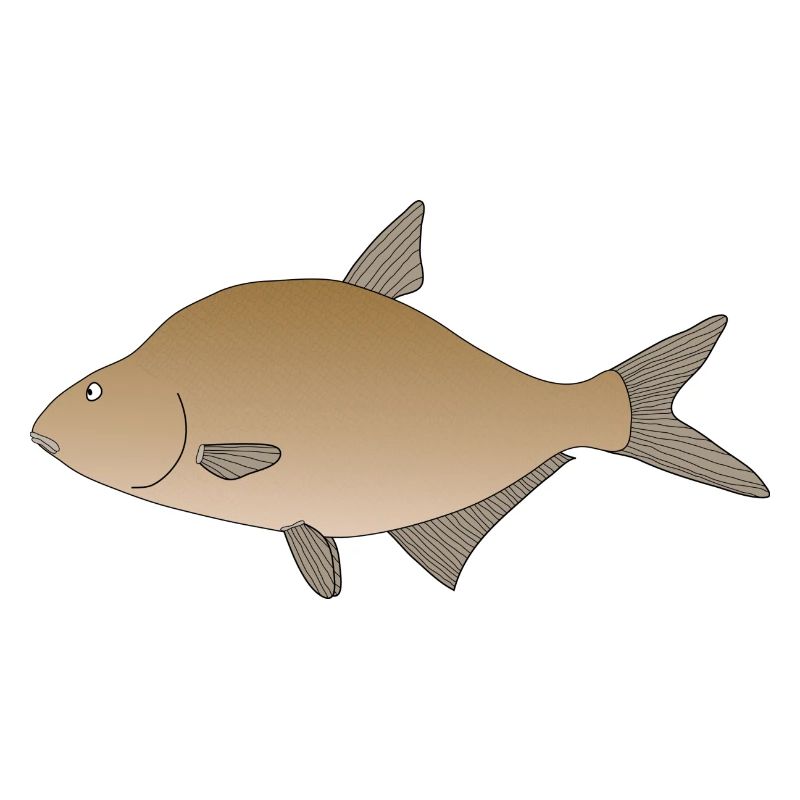 bream
