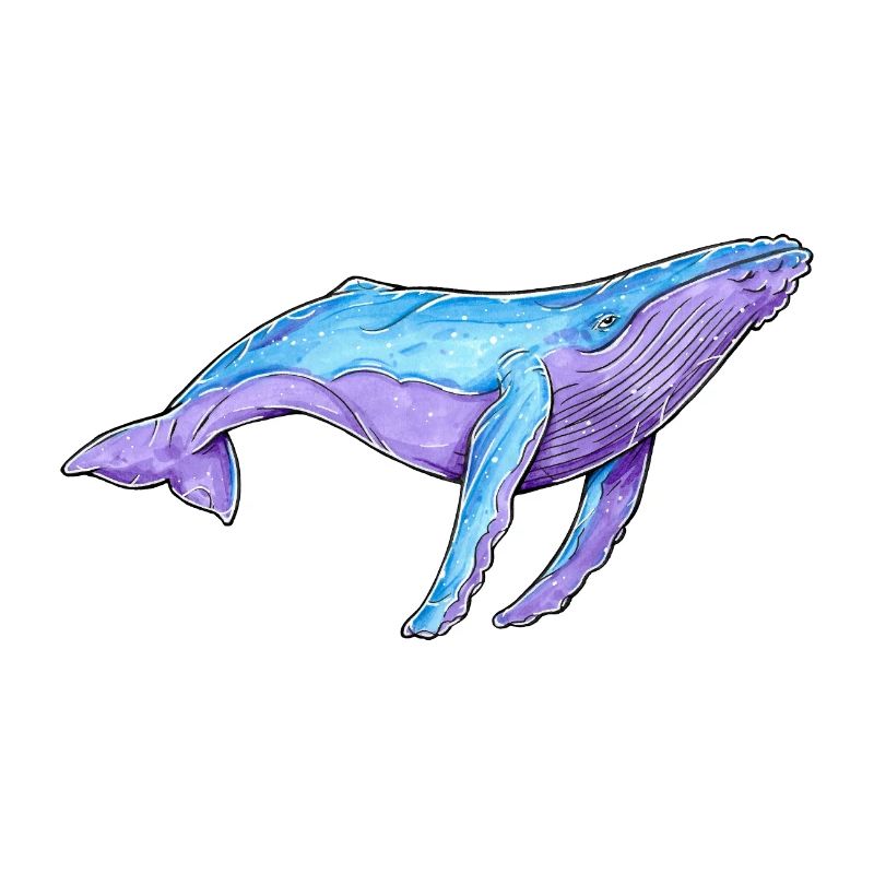 Buckelwal Aquarell