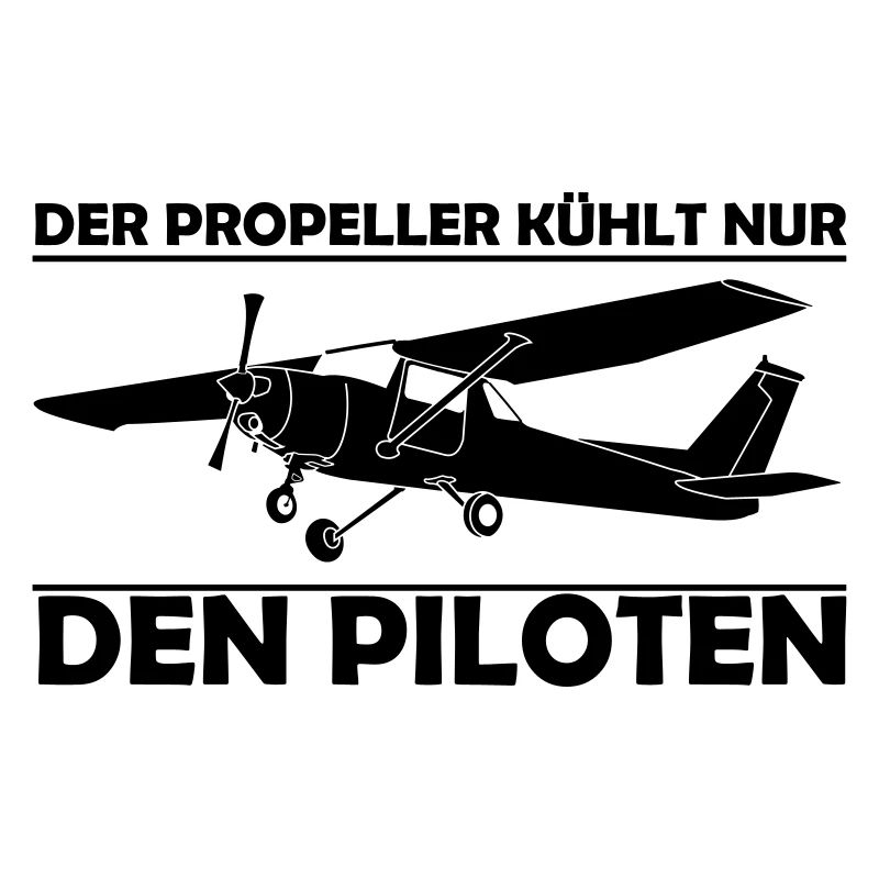 Cessna Motorflugzeug Geschenk