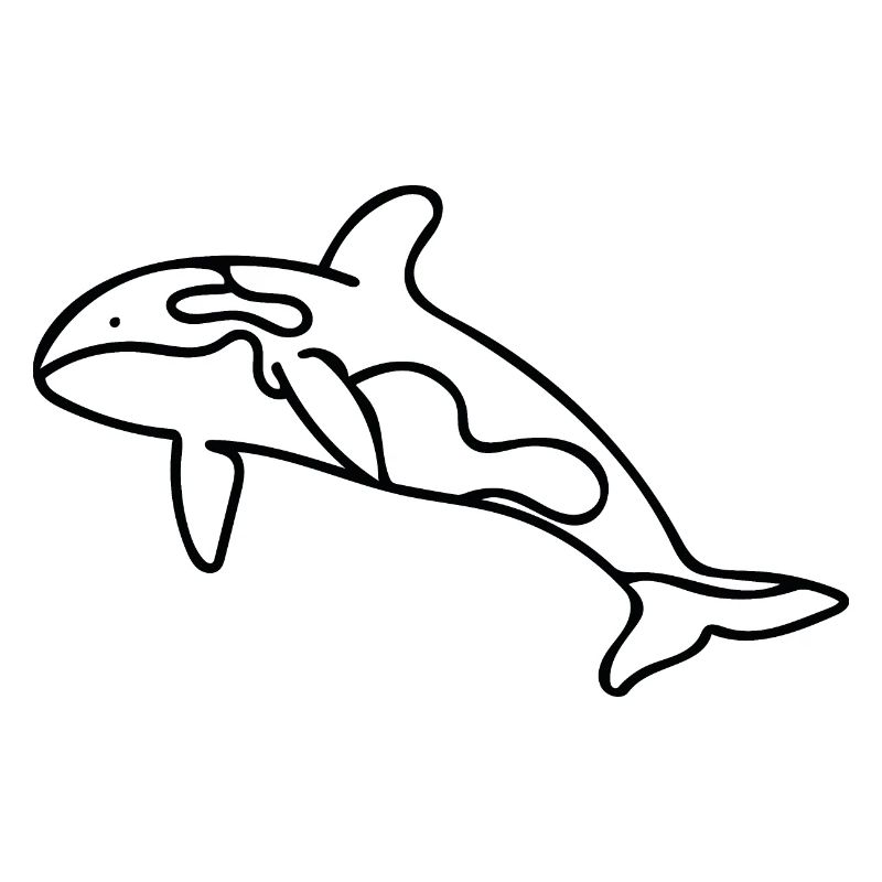 Killerwal - Orca