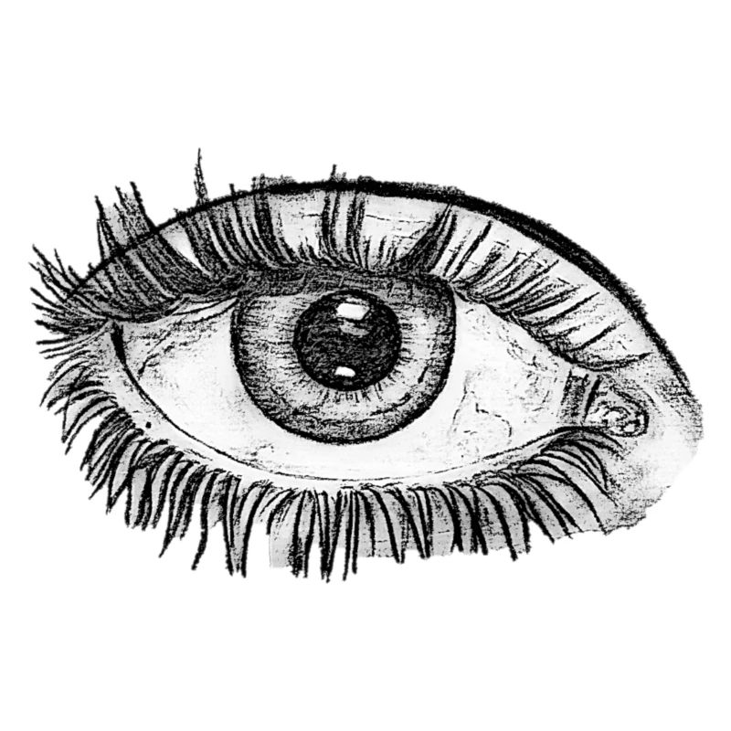 AUGE