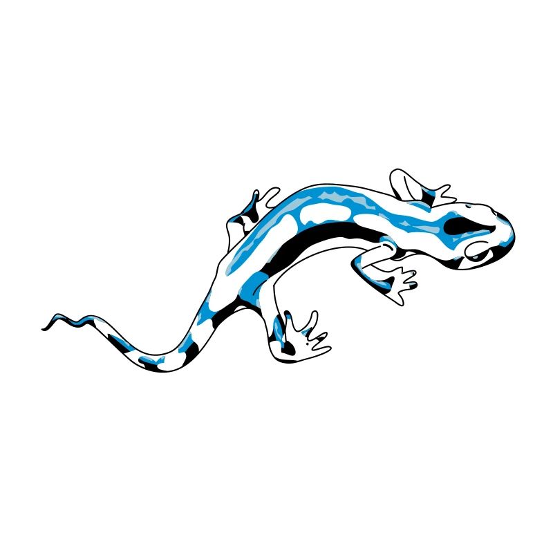 Salamandre