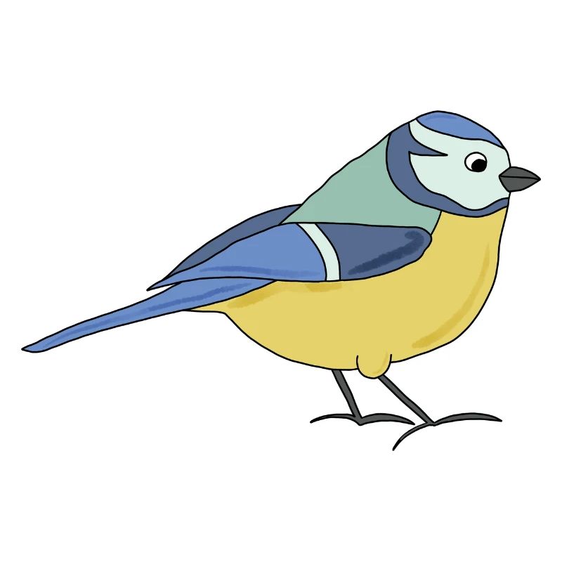 small blue, multicoloured