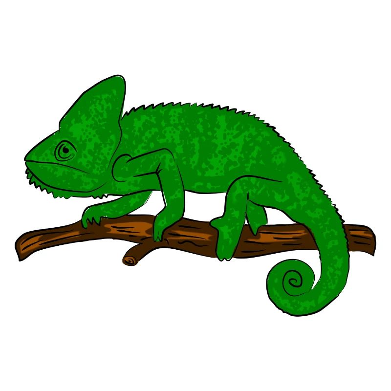 Chamäleon Exotisch