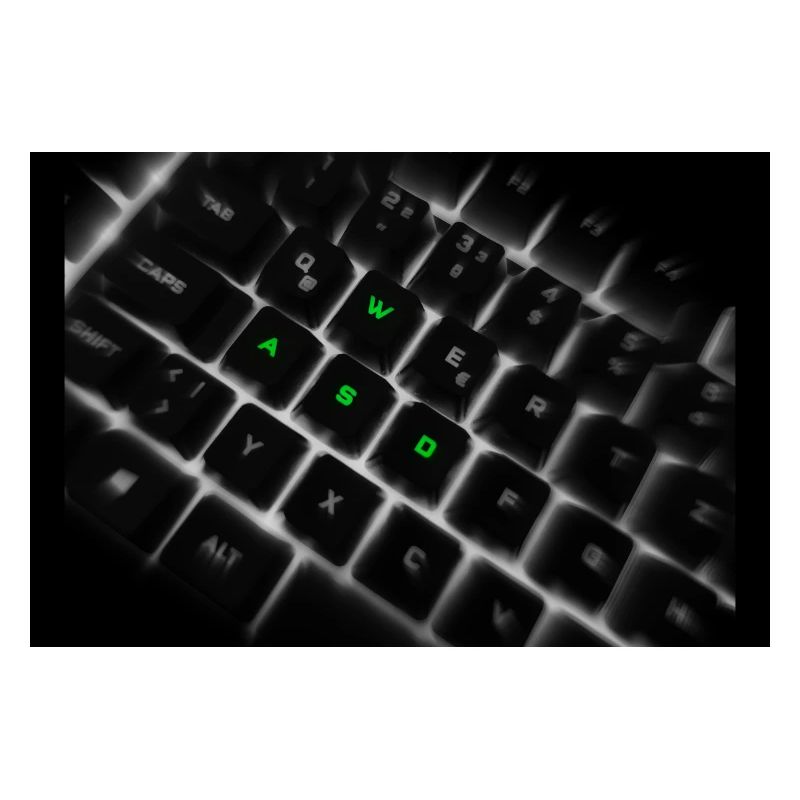 Impression d’art sur le clavier néon WASD
