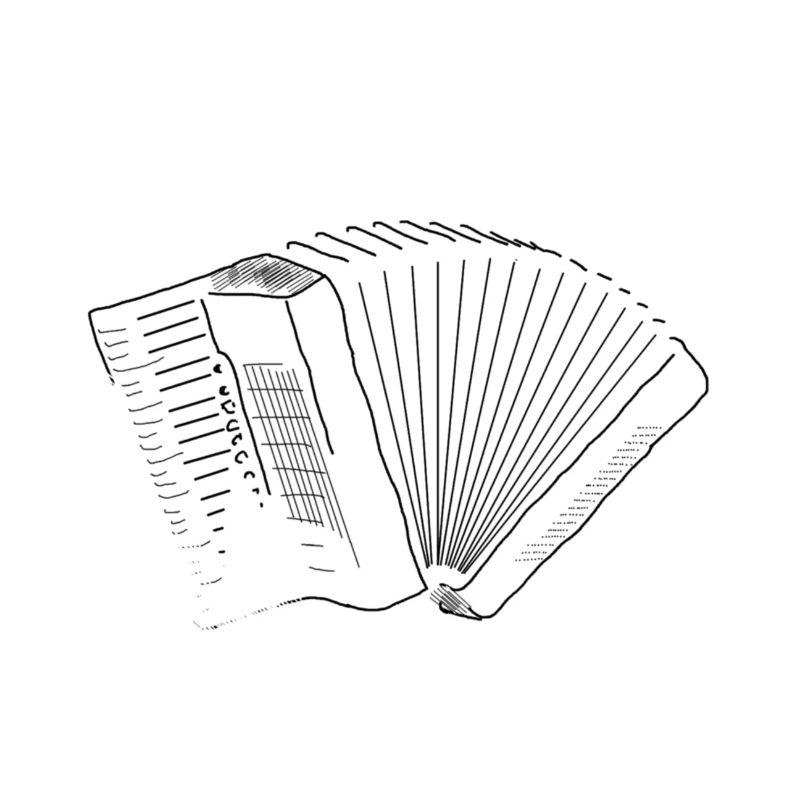 Accordéon pur