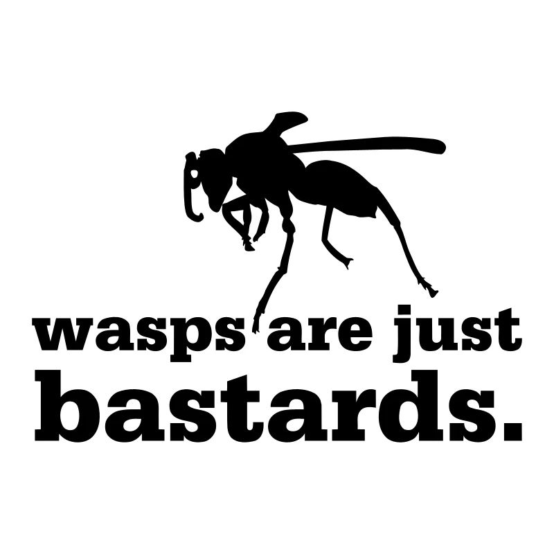 Wasps are just bastards